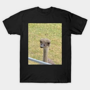 Peeping Ostrich T-Shirt